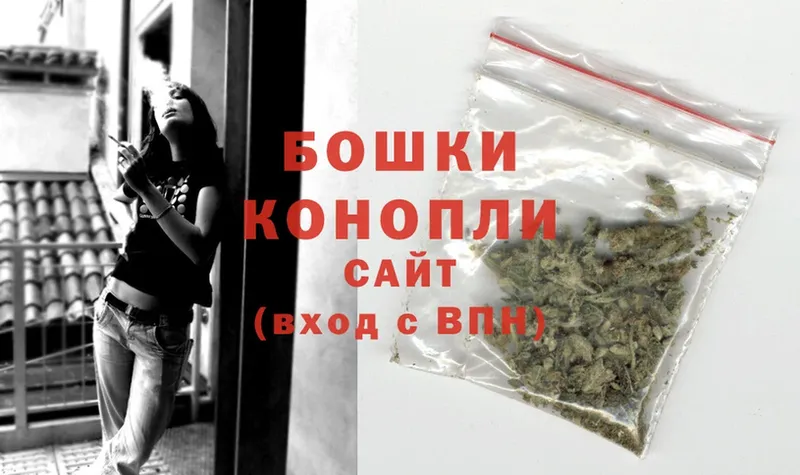 Бошки марихуана THC 21%  Медынь 